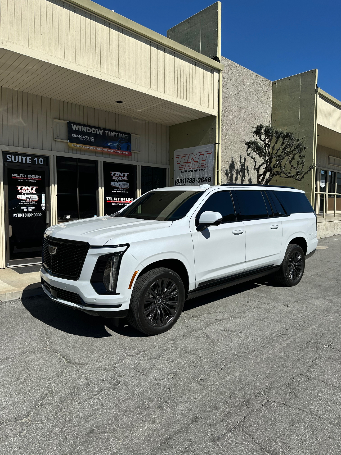 White Cadillac Escalade ESV outside Tint Shop Corp. Salinas