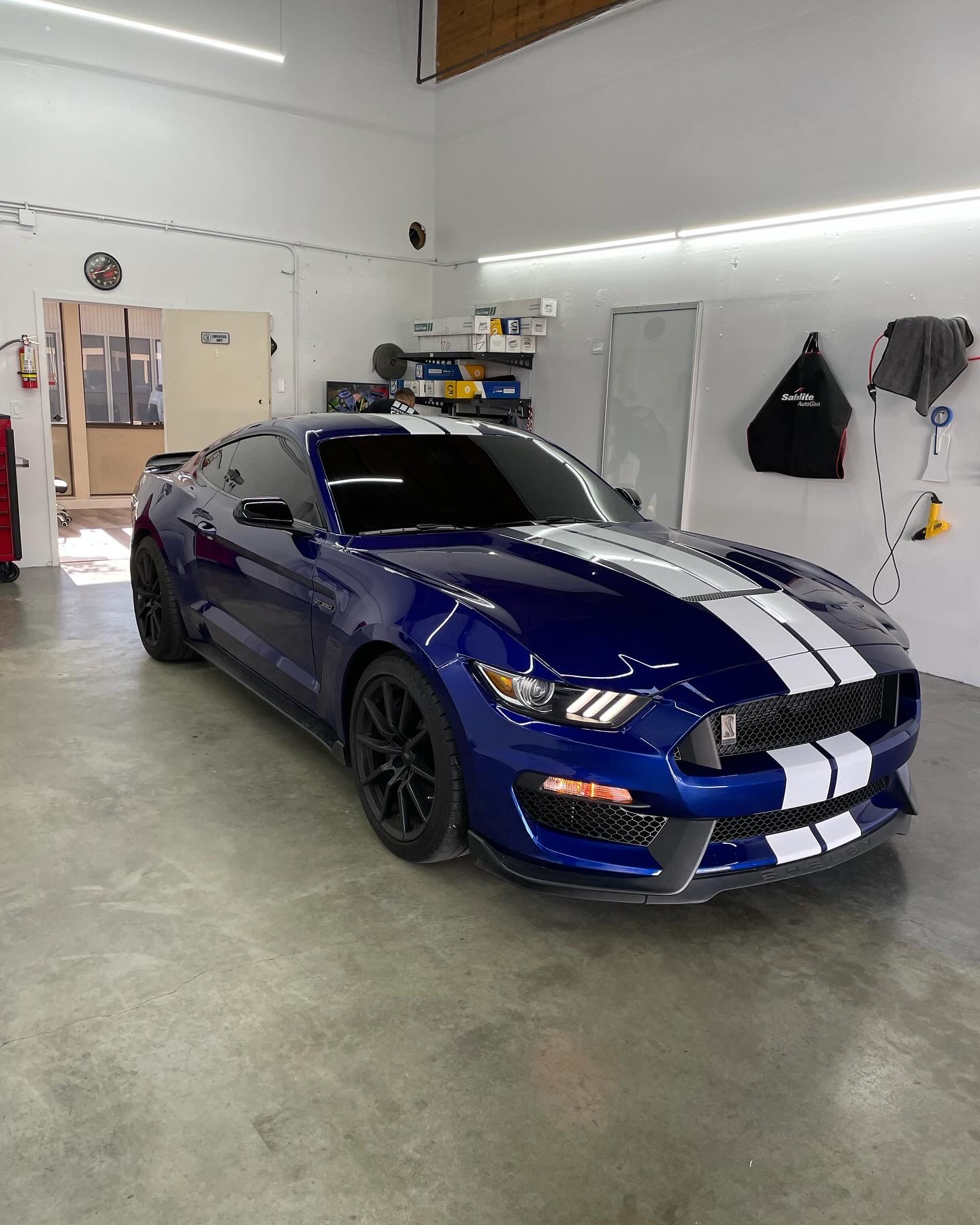 Blue Ford Shelby GT350 with fresh window tint